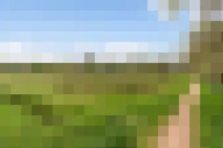 De Jagershuizen 54 Apeldoorn thumbnail 36