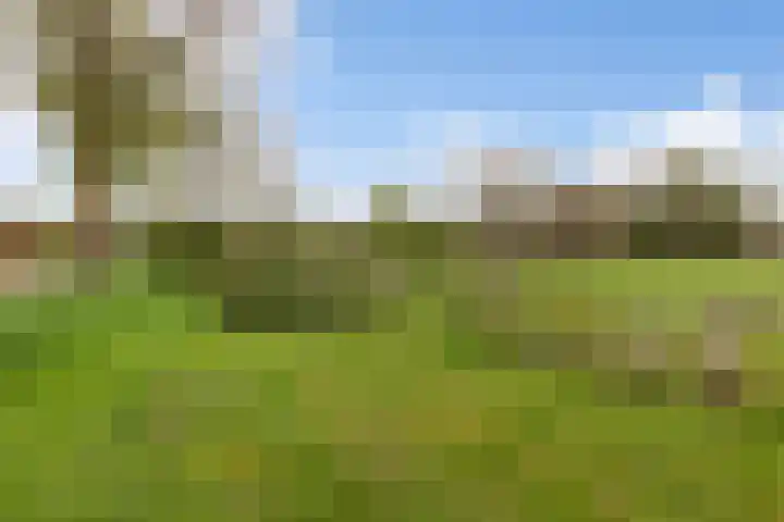 De Jagershuizen 54 Apeldoorn thumbnail 38