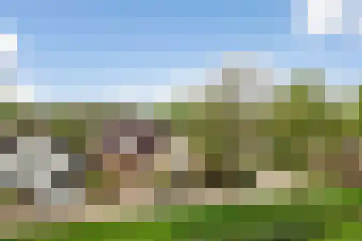 De Jagershuizen 54 Apeldoorn thumbnail 39