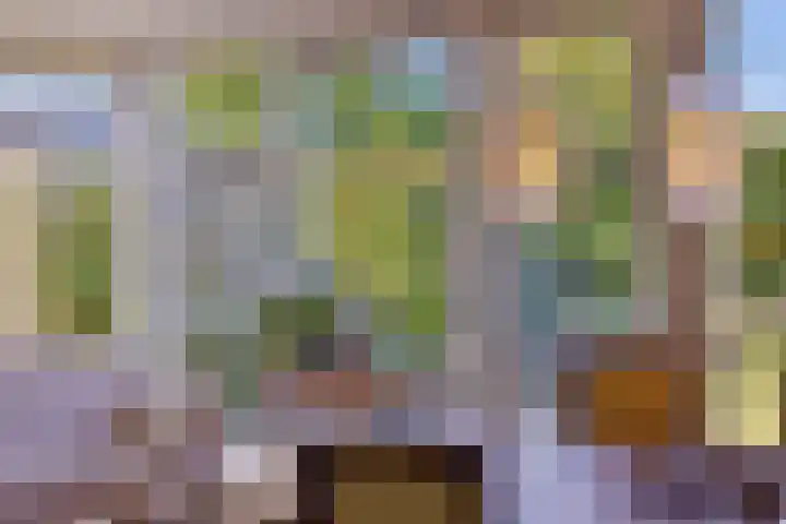 De Jagershuizen 86 Apeldoorn thumbnail 12