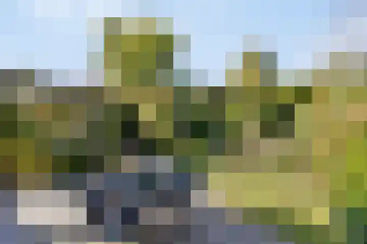 De Jagershuizen 86 Apeldoorn thumbnail 32