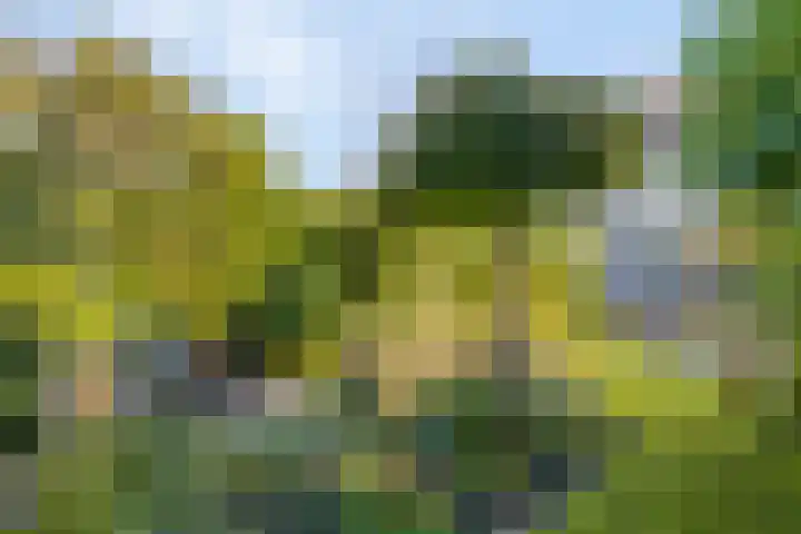 De Jagershuizen 86 Apeldoorn thumbnail 33