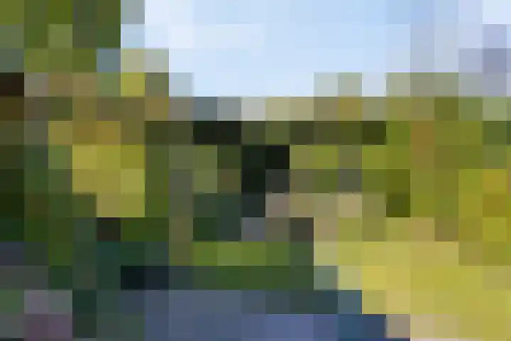 De Jagershuizen 86 Apeldoorn thumbnail 34