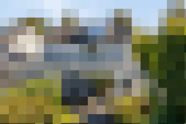 De Jagershuizen 86 Apeldoorn thumbnail 35