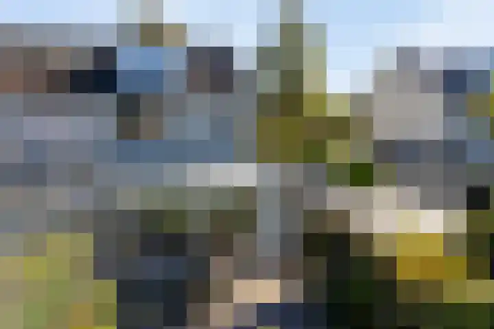 De Jagershuizen 86 Apeldoorn thumbnail 36
