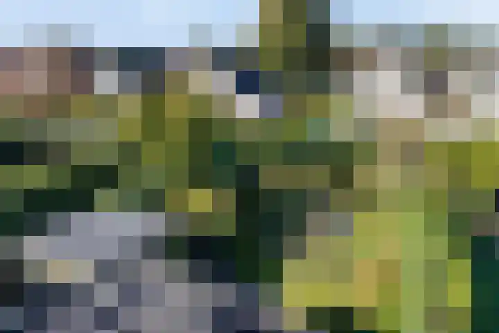 De Jagershuizen 86 Apeldoorn thumbnail 37