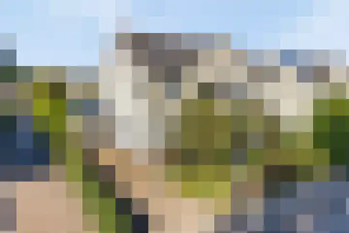 De Jagershuizen 86 Apeldoorn thumbnail 41