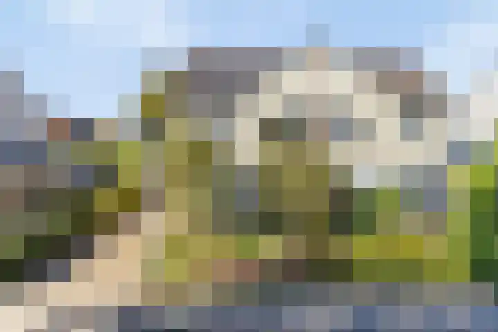 De Jagershuizen 86 Apeldoorn thumbnail 42