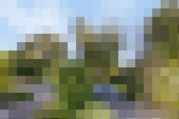 De Jagershuizen 86 Apeldoorn thumbnail 44