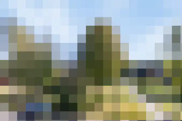 De Jagershuizen 86 Apeldoorn thumbnail 45