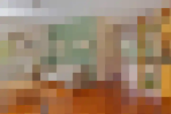 De Jagershuizen 86 Apeldoorn thumbnail 8