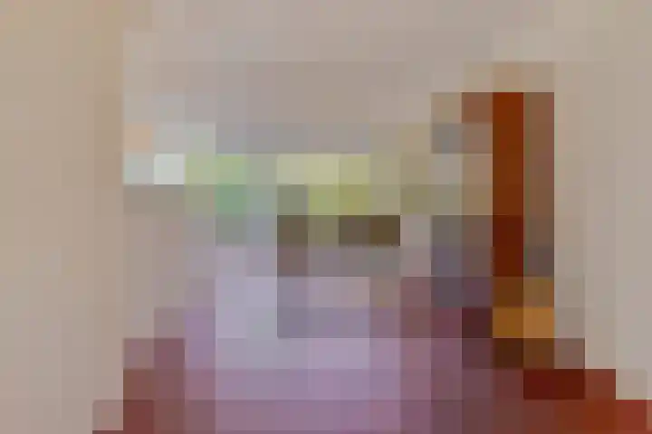 De Jagershuizen 86 Apeldoorn thumbnail 9