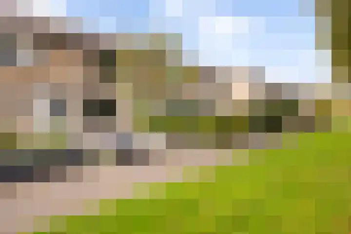 De Jagerweg 175 Dordrecht thumbnail 7