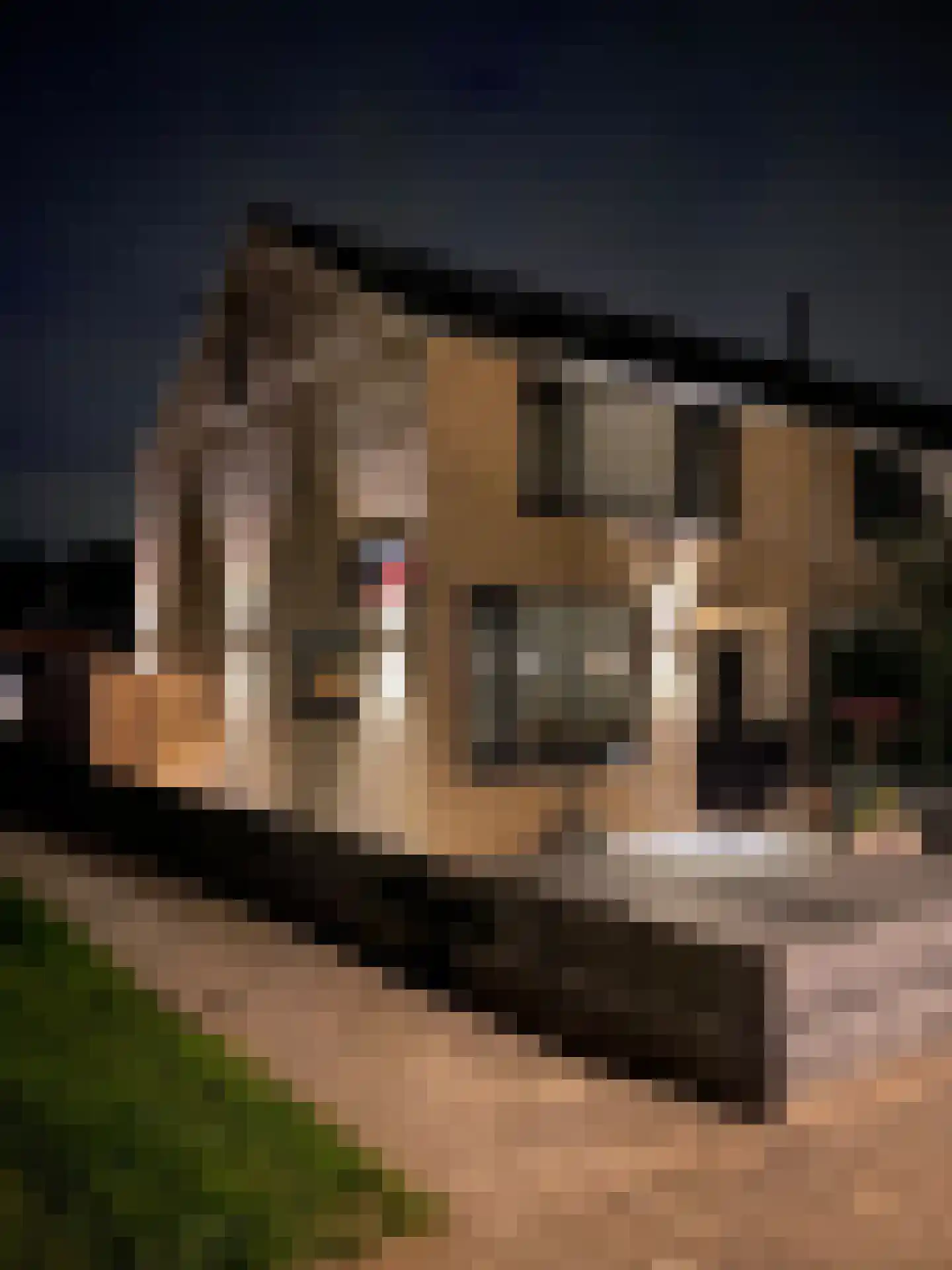 De Jagerweg 185 Dordrecht thumbnail 34