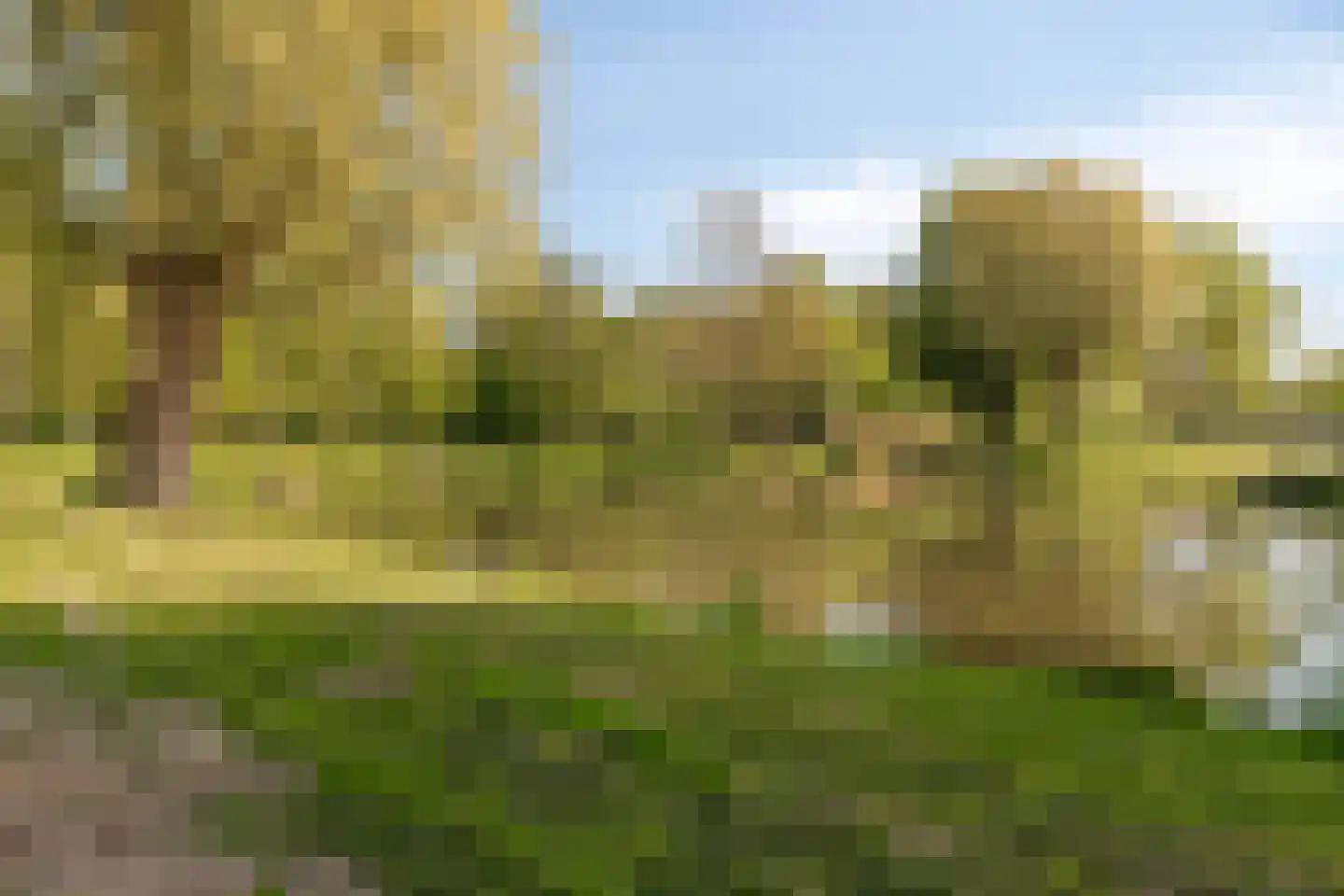 De Jagerweg 2 Dordrecht thumbnail 22