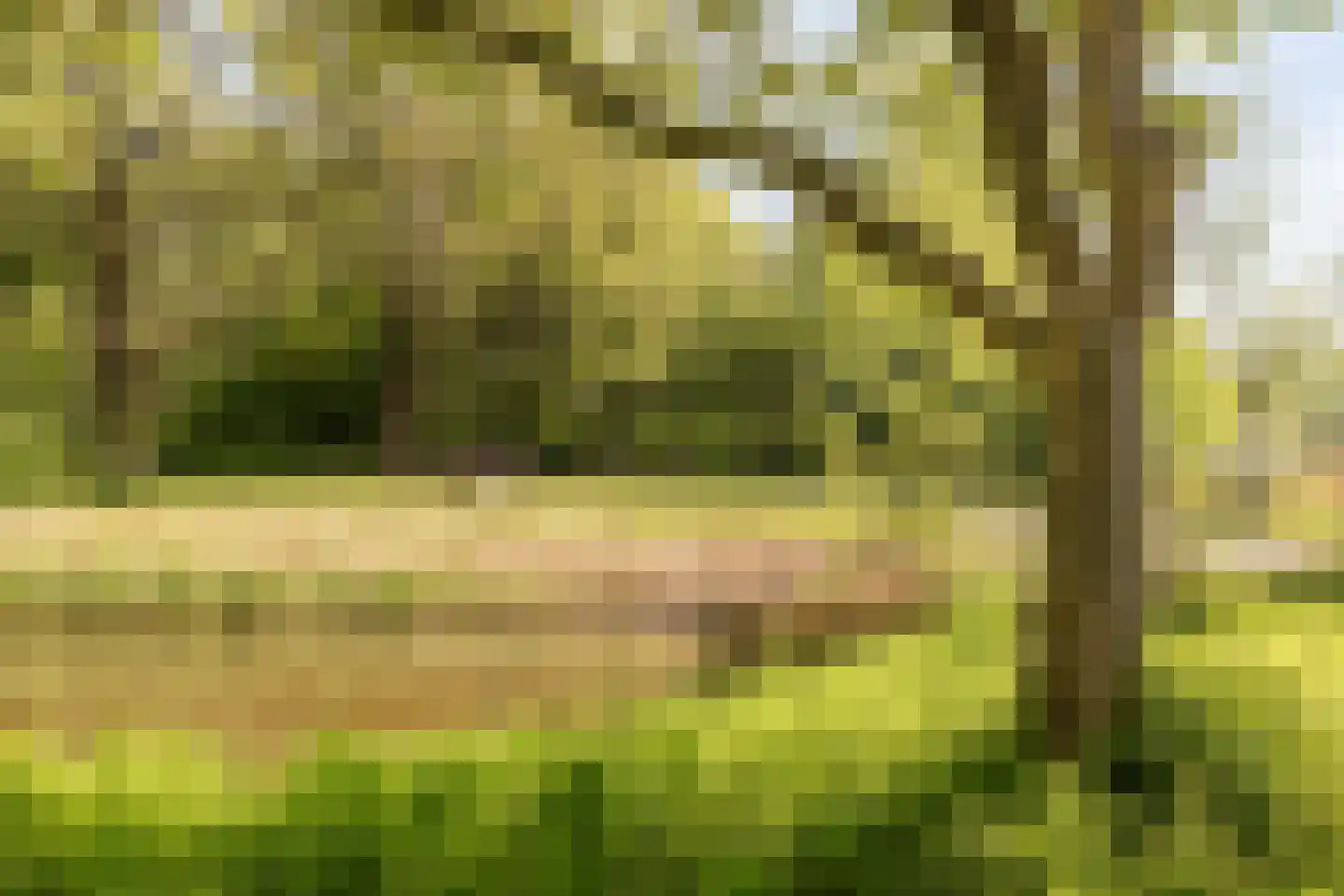 De Jagerweg 2 Dordrecht thumbnail 26