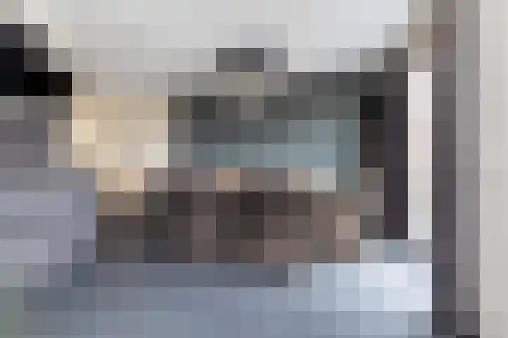 de Jakke 19 Wijhe thumbnail 10