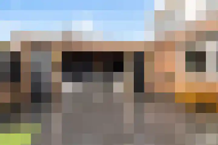 de Jakke 19 Wijhe thumbnail 11