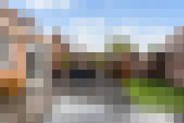 de Jakke 19 Wijhe thumbnail 13