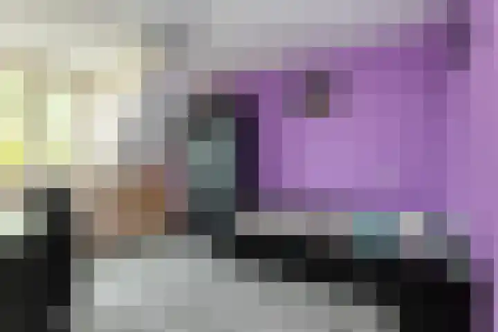 de Jakke 19 Wijhe thumbnail 21
