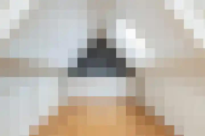 de Jakke 19 Wijhe thumbnail 22