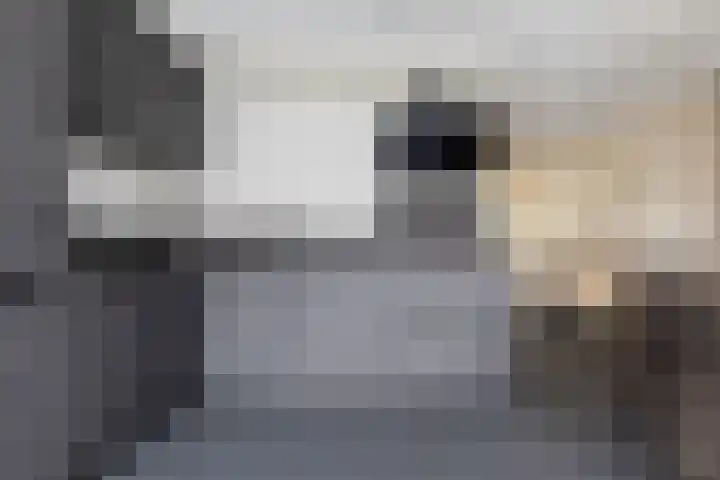 de Jakke 19 Wijhe thumbnail 5