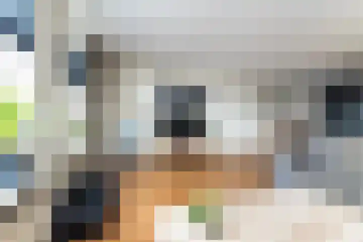 de Jakke 19 Wijhe thumbnail 7