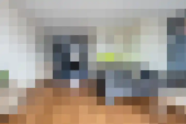 de Jakke 19 Wijhe thumbnail 8
