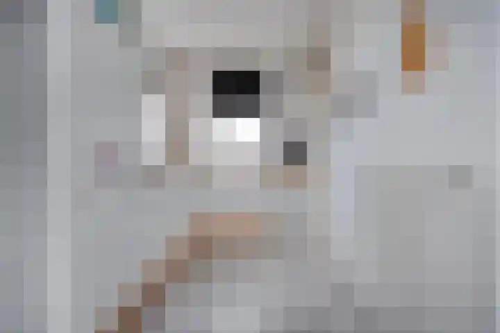 De Jasmijn 16 Dedemsvaart thumbnail 12