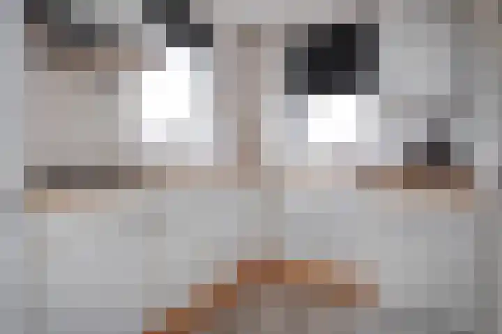 De Jasmijn 16 Dedemsvaart thumbnail 15