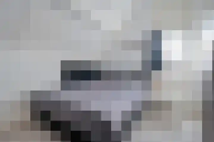 De Jasmijn 16 Dedemsvaart thumbnail 21