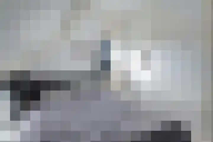 De Jasmijn 16 Dedemsvaart thumbnail 22