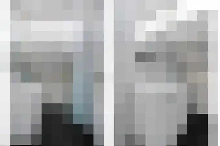 De Jasmijn 16 Dedemsvaart thumbnail 23