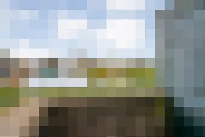 De Jasmijn 16 Dedemsvaart thumbnail 28