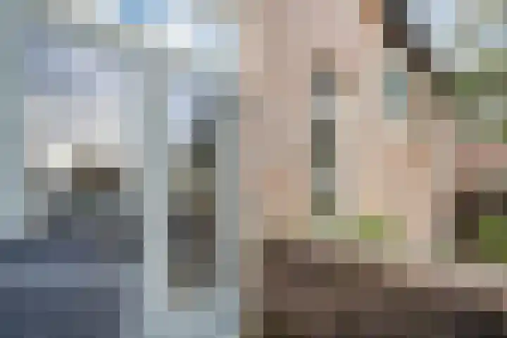 De Jasmijn 16 Dedemsvaart thumbnail 29