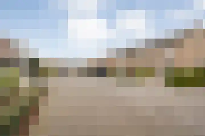 De Jasmijn 16 Dedemsvaart thumbnail 4