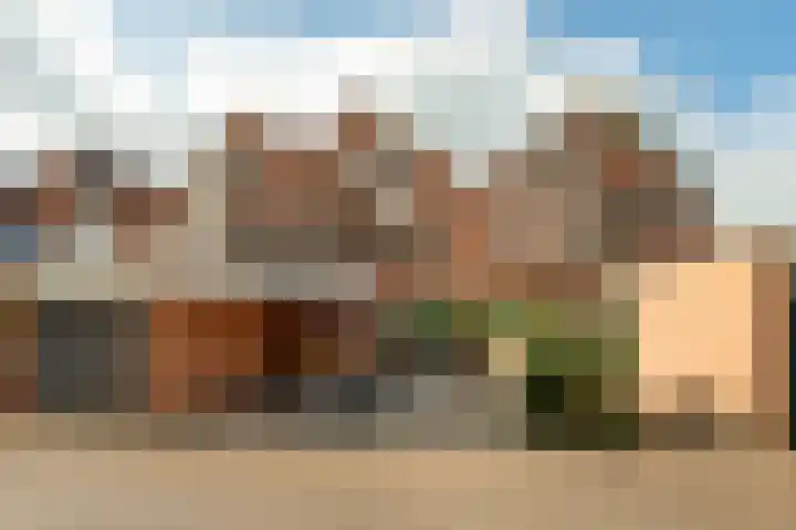 de Jasmijn 20 Hoogerheide