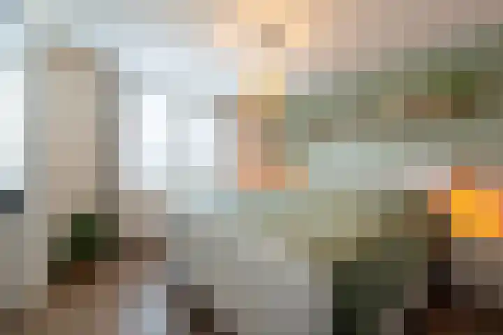 de Jasmijn 20 Hoogerheide thumbnail 20