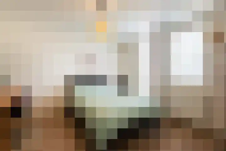 de Jasmijn 20 Hoogerheide thumbnail 22