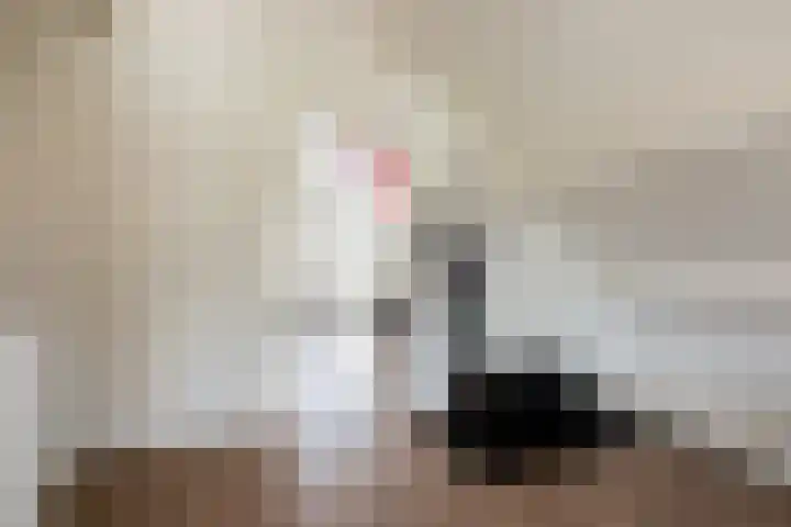 de Jasmijn 20 Hoogerheide thumbnail 27