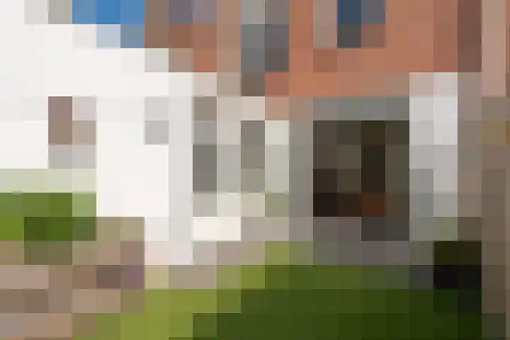 de Jasmijn 20 Hoogerheide thumbnail 31