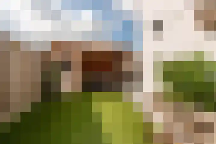 de Jasmijn 20 Hoogerheide thumbnail 32
