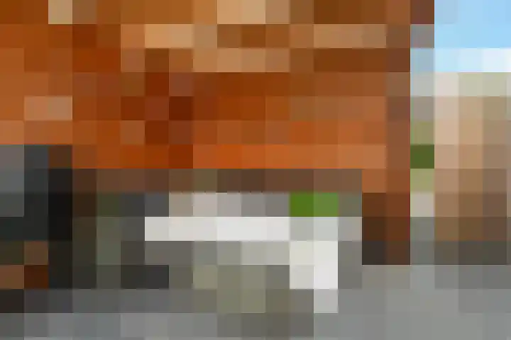 de Jasmijn 20 Hoogerheide thumbnail 33