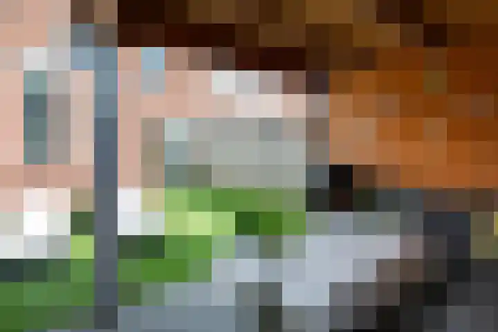 de Jasmijn 20 Hoogerheide thumbnail 34