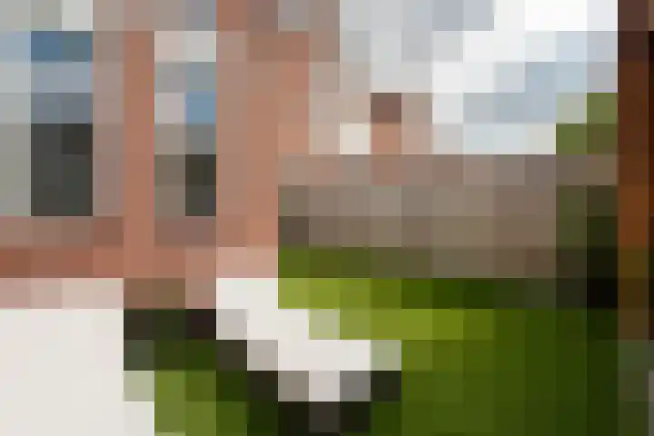 de Jasmijn 20 Hoogerheide thumbnail 35