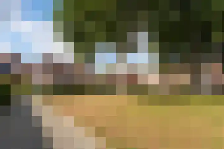 de Jasmijn 20 Hoogerheide thumbnail 40