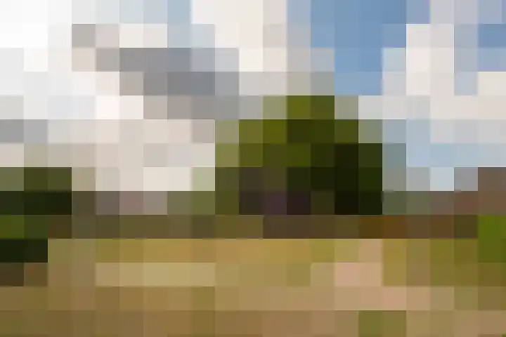 de Jasmijn 20 Hoogerheide thumbnail 41