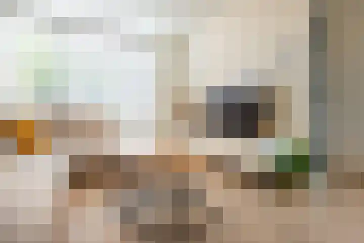 de Jasmijn 20 Hoogerheide thumbnail 7