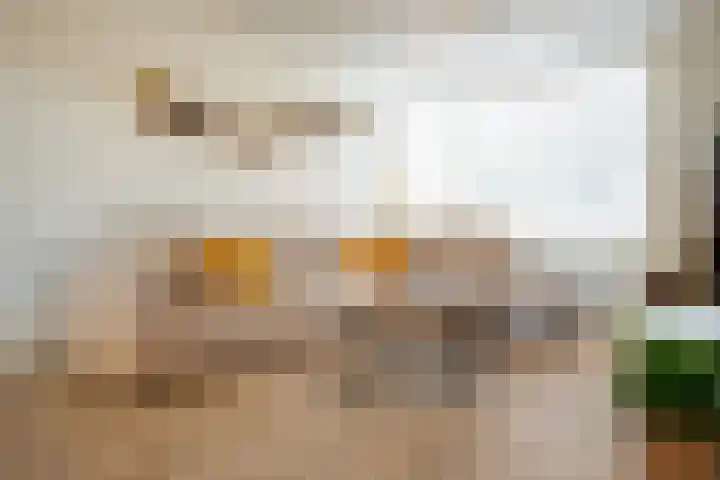 de Jasmijn 20 Hoogerheide thumbnail 8