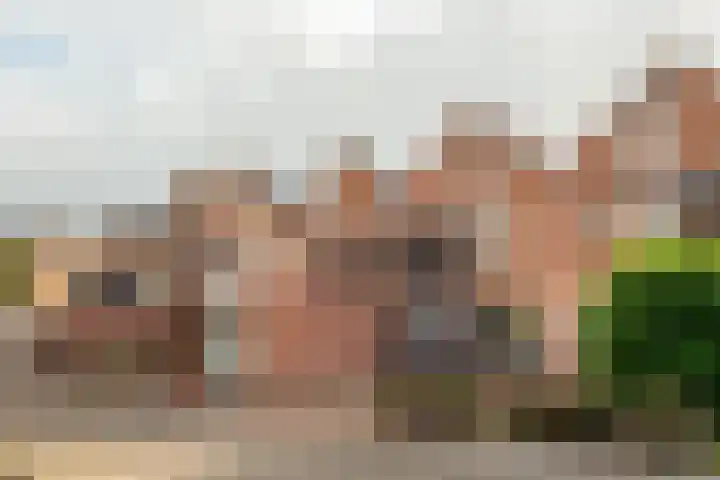 de Jasmijn 7 Hoogerheide